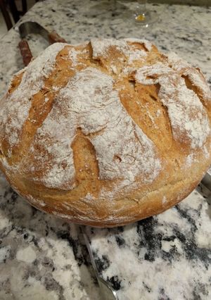 A picture of Crazy Easy Crusty Artisan Bread.
