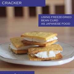 A picture of Koya Dofu (Freeze-dried Tofu) Cheese Crackers Curry Flavored.