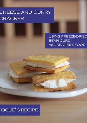 A picture of Koya Dofu (Freeze-dried Tofu) Cheese Crackers Curry Flavored.