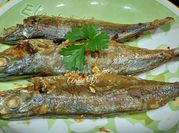 Hình ảnh của cá miso