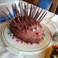 A picture of hedgehog cake.