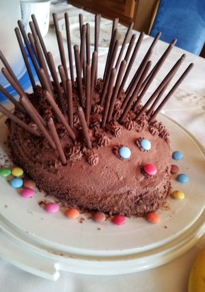 A picture of hedgehog cake.