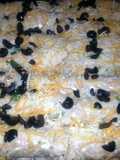 The Big Texan Enchiladas (sour cream)