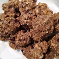 A picture of Sugar Free Oatmeal Cookies.