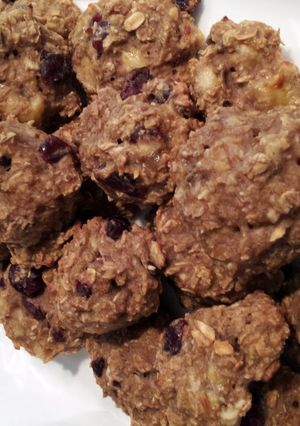 A picture of Sugar Free Oatmeal Cookies.