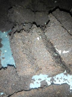 Foto resep Brownies panggang sederhana