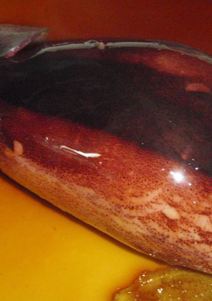 A picture of Whole Stewed Squid With Instructions for Preparation.