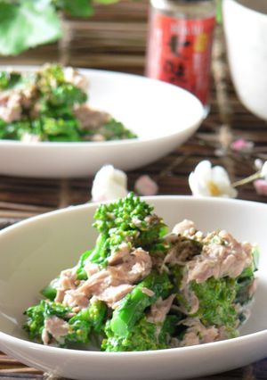 A picture of Nanohana in Tuna-Mayonnaise.