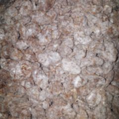 A picture of Puppy Chow.