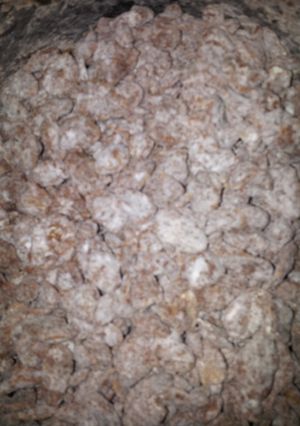 A picture of Puppy Chow.