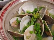 A picture of clam (hamaguri
