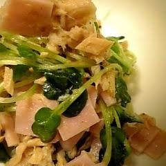 A picture of Daikon Radish Sprout Salad.