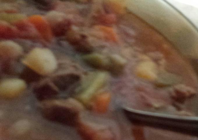 Spicy veggie soup with beef stew meat