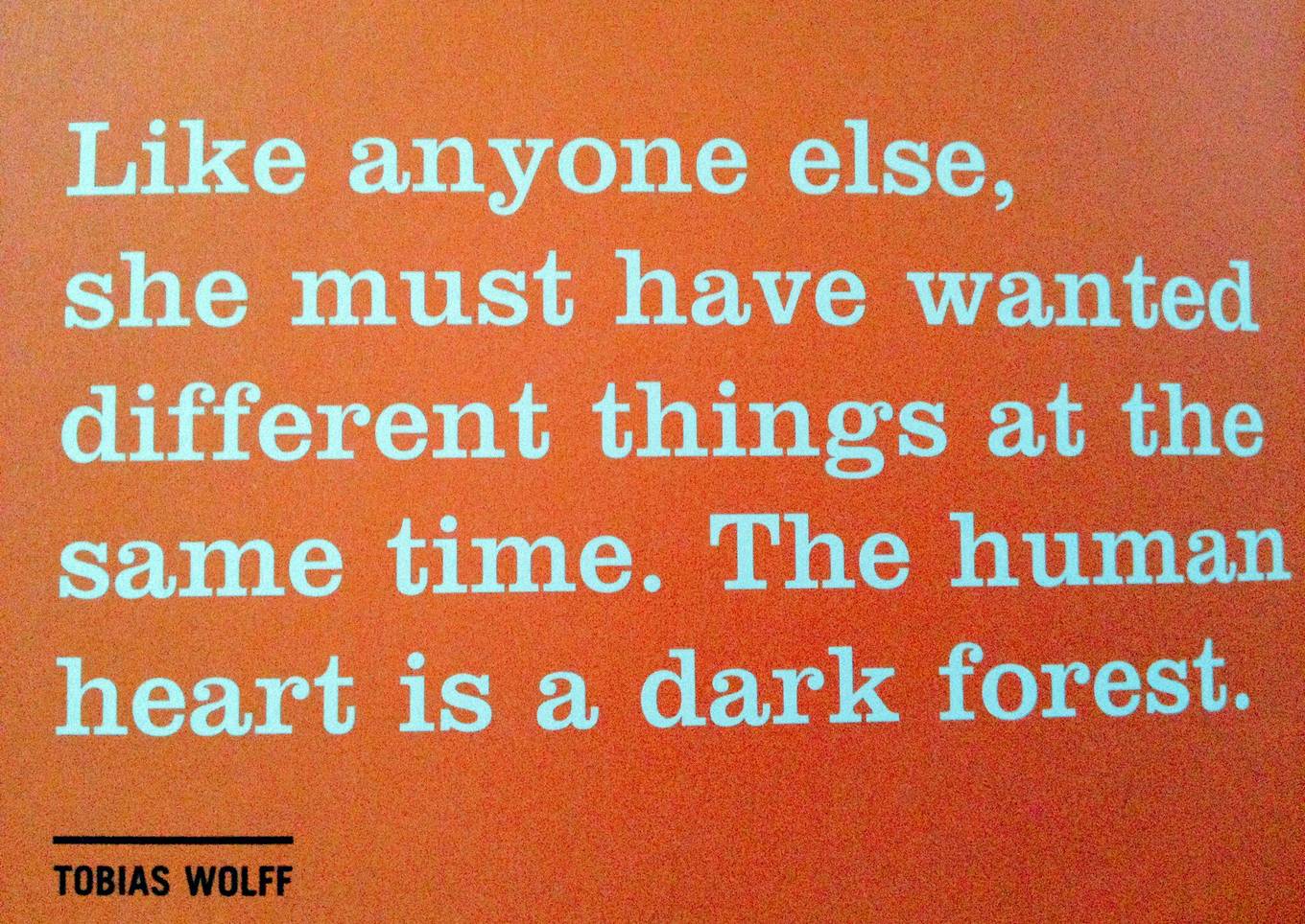 Cabbage and mushroom soup with wild rice