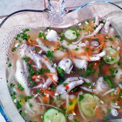 A picture of Souse.
