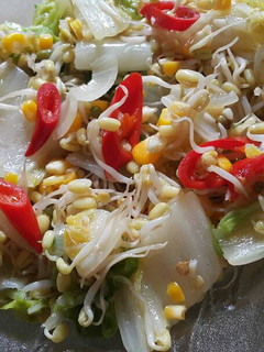 Foto resep Cah tauge