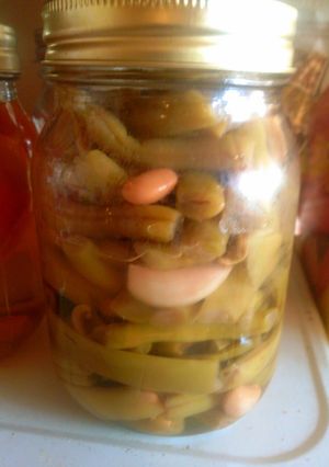 A picture of Canned Garlic Green Beans.