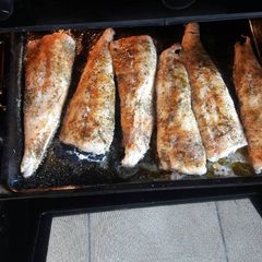 A picture of Fish chongo.