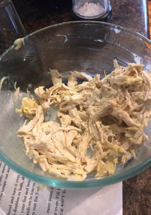 A picture of Delicious crock pot chicken salad.