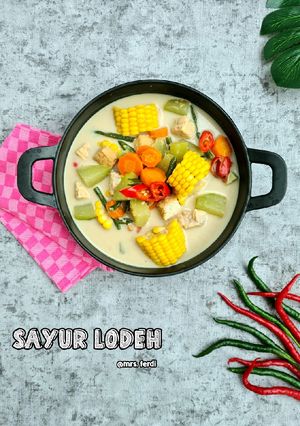 Foto resep Sayur Lodeh