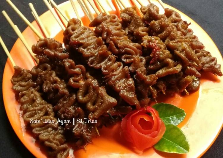 Sate Usus Ayam😍