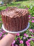 Torta de chocolate (Matilda)