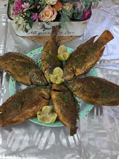 صورة لوصفة سمك 🐟 مقلي دنيس ومشط