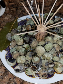 Una foto de Bígaros cocidos para aperitivo