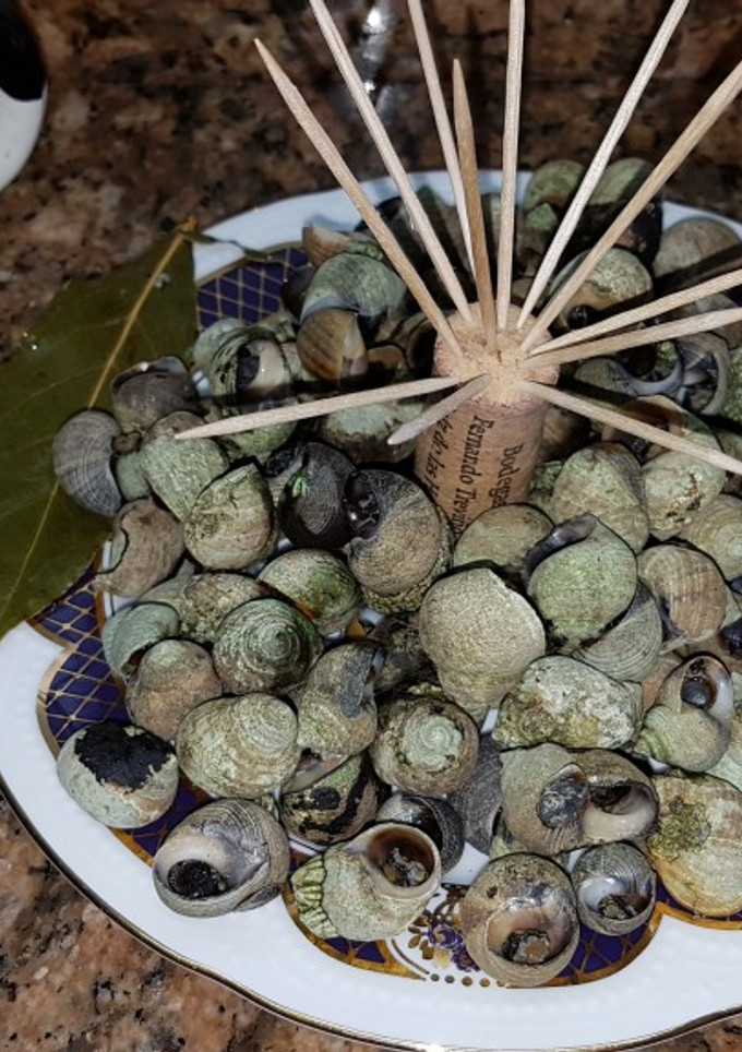 Una foto de Bígaros cocidos para aperitivo