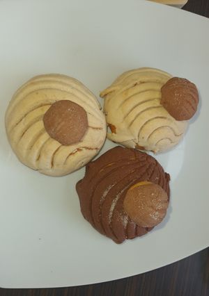 Una foto de Conchamacos