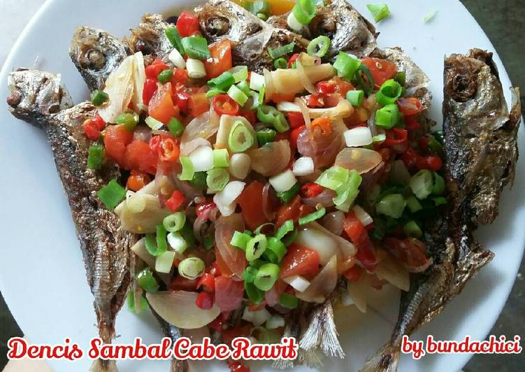 Resep Dencis Sambal Cabe Rawit yang Menggugah Selera