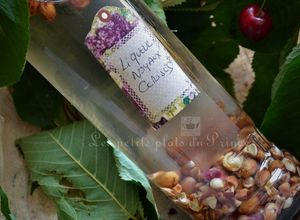 Une photo de Liqueur de noyaux de cerises