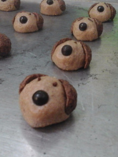 Foto resep Milo Doggie Cookies