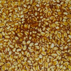 A picture of Peanut ladoo.