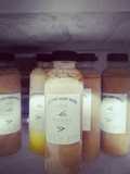 Kefir Aren