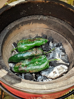A picture of Roasted Poblano Peppers.