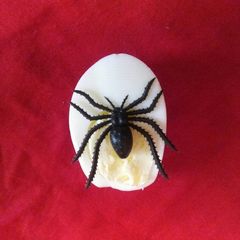 A picture of Egg Makhra.