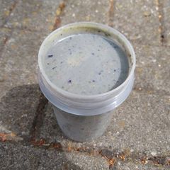 A picture of Green & Fruity Smoothie (w/ vegan vanilla protein).