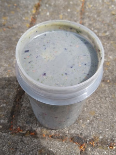 A picture of Green & Fruity Smoothie (w/ vegan vanilla protein).
