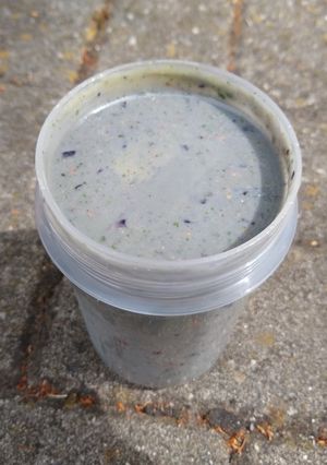 A picture of Green & Fruity Smoothie (w/ vegan vanilla protein).