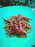 Mie Aceh Kepiting Special