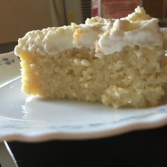 A picture of Tres Leches Cake.
