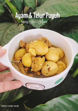 Foto resep Ayam dan Telur Puyuh toping Mie Ayam