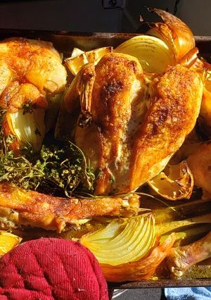 A picture of Chicken Stock.