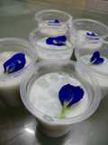 Minuman Yogurt (perasa kelapa)