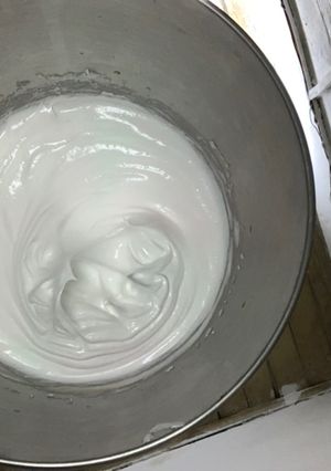 Una foto de Merengue (extra fácil 🙃)
