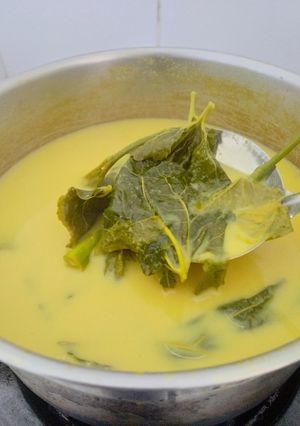Gambar Daun Mulberi Masak Lemak Kuning Fiber Creme