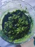 Pesto aux fanes de radis