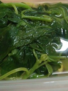 Foto resep Sayur bayam oyong
