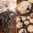 Muffins de arándanos con crumble